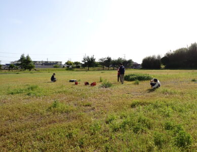 横須賀城三の丸で地盤調査しました